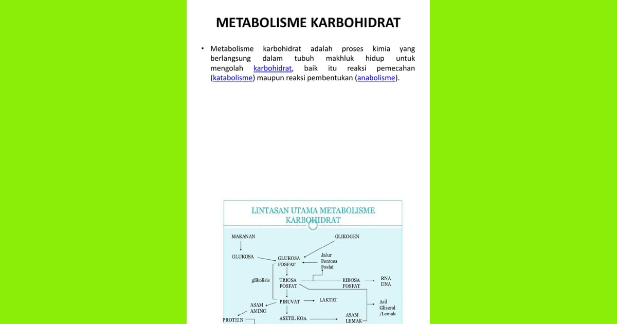 Asam Fumarat - Pembentukan Asam Fumarat