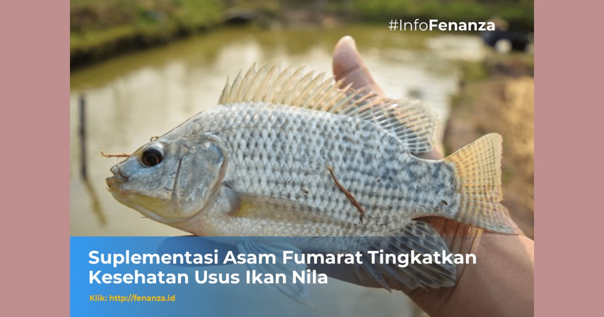 Asam Fumarat - Suplementasi Asam Fumarat