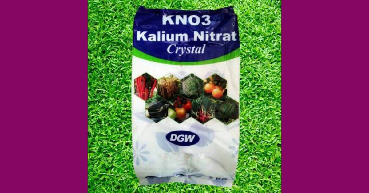 Kalium Nitrat - Kalium nitrat KNO3