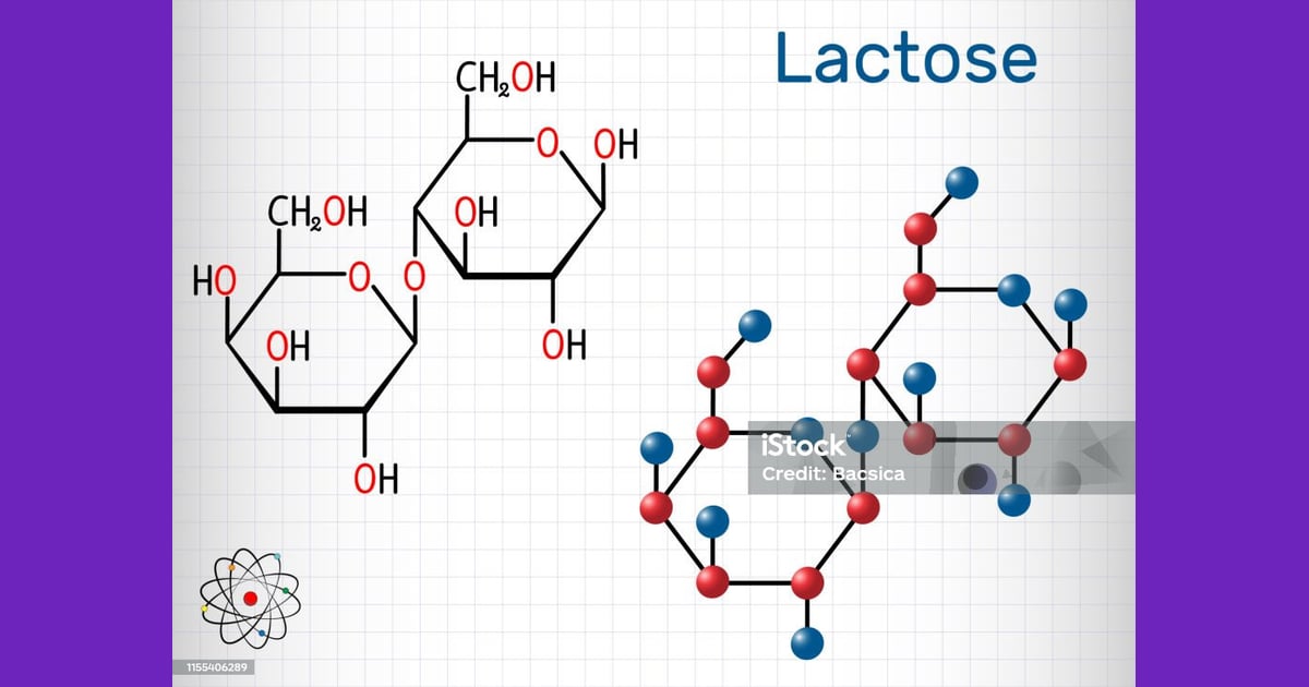 Laktosa - Laktosa Molekul Gula