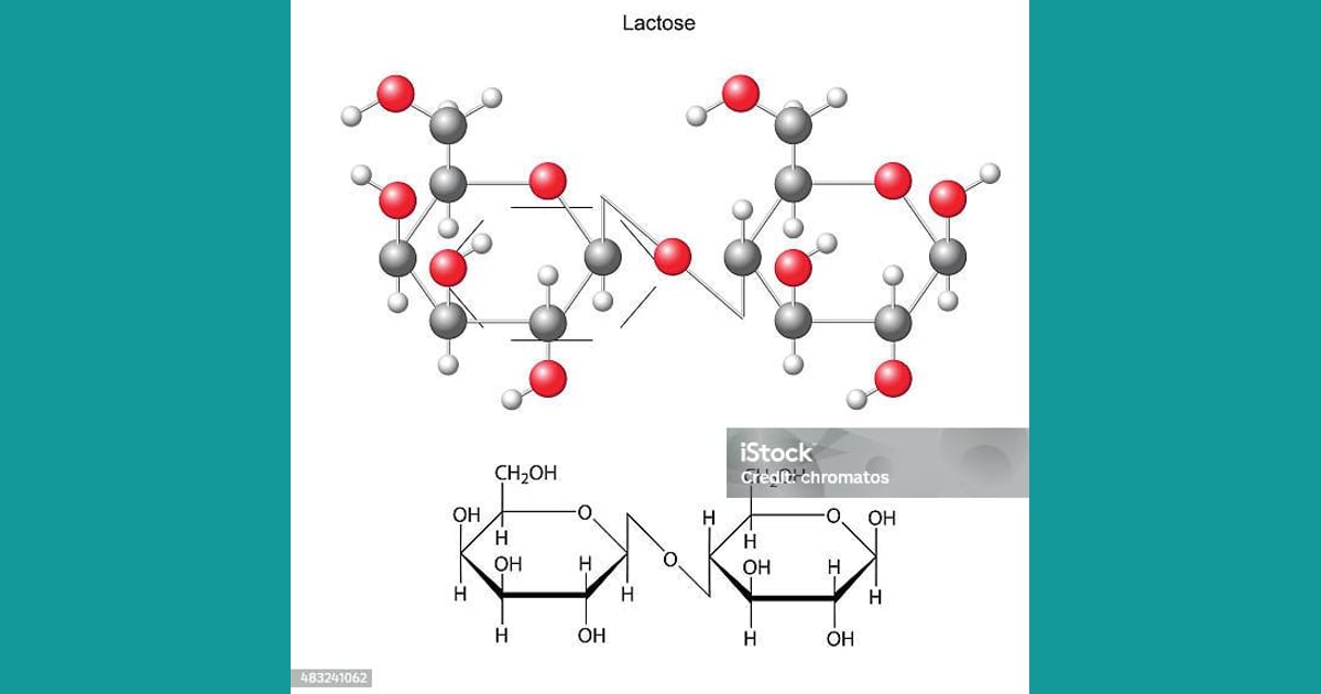 Laktosa - Formula Kimia Struktural