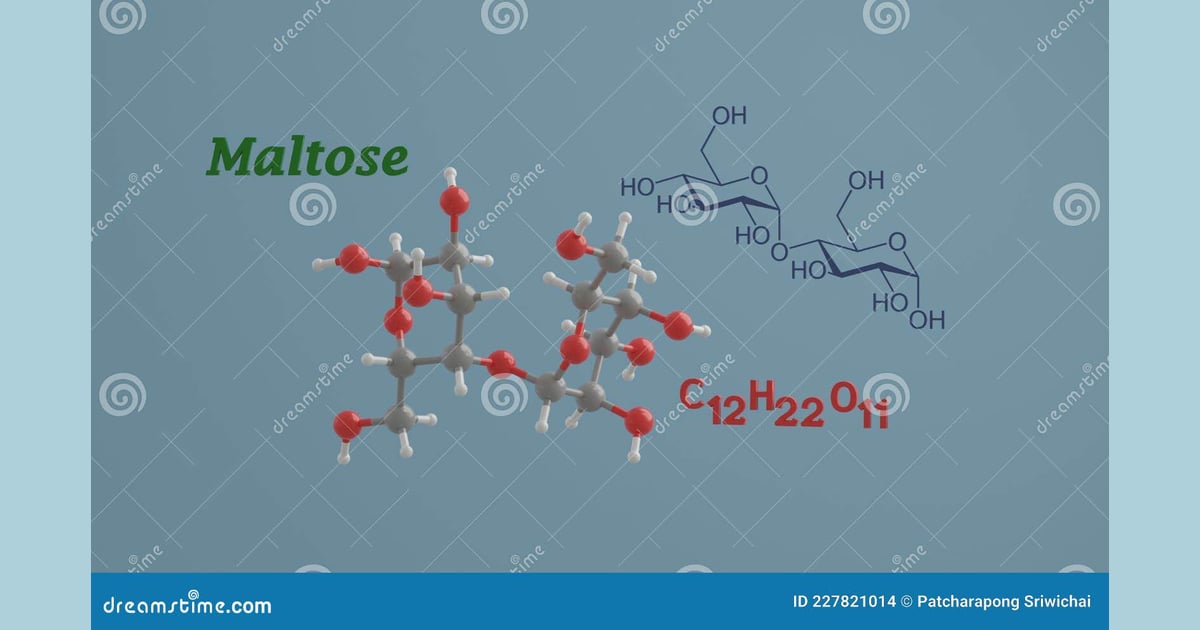 Maltosa - Maltosa Ciencia Del