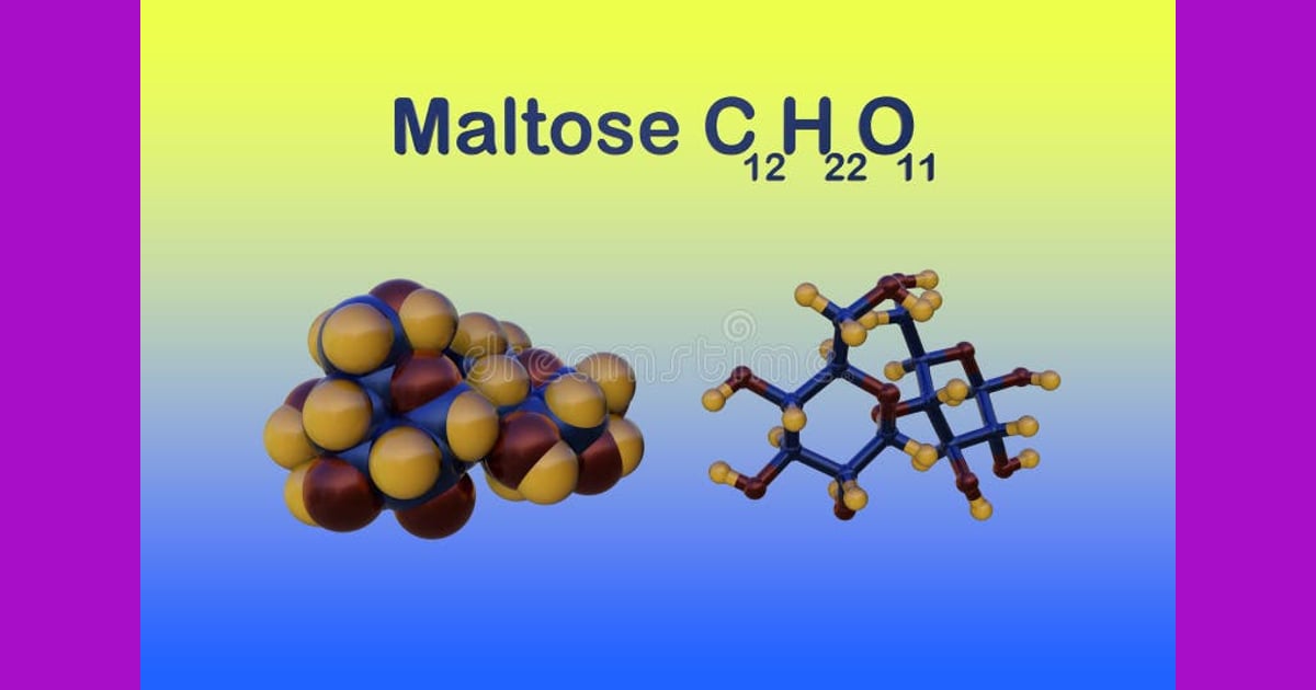 Maltosa - Estructura Molecular De