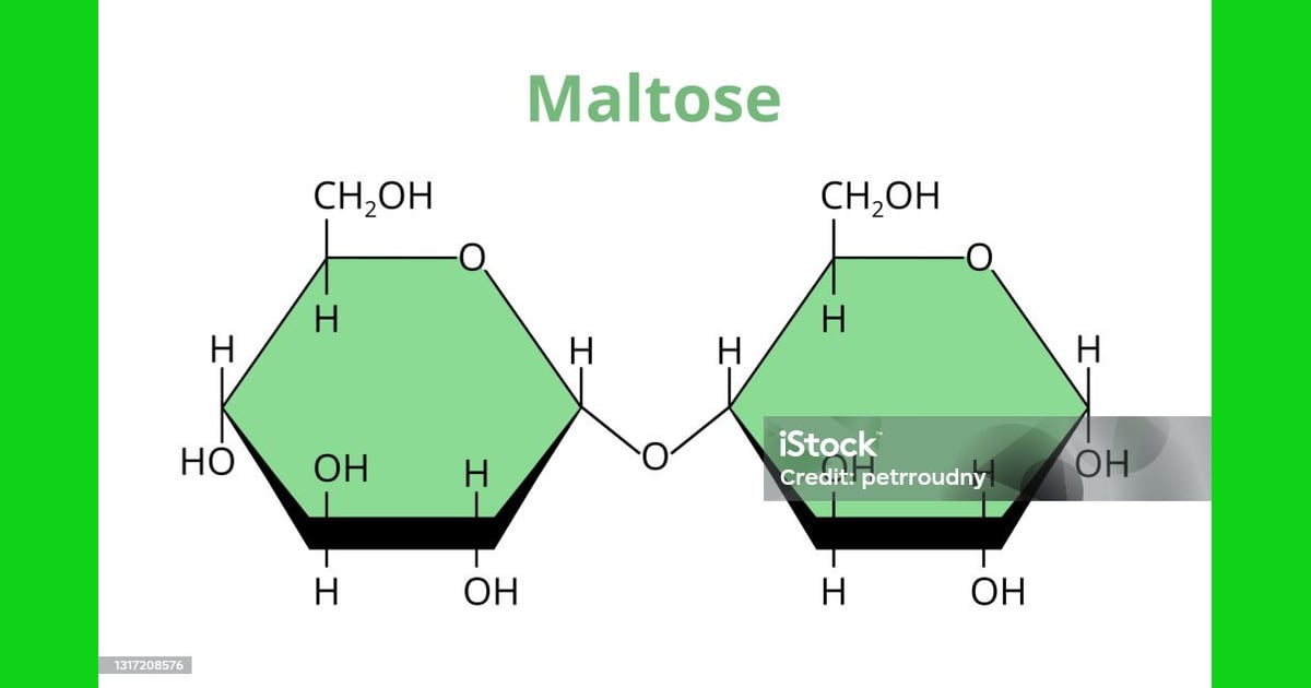 Maltosa - Ilustración de Estructura