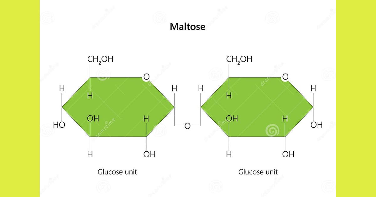 Maltosa - Maltosa También Conocida