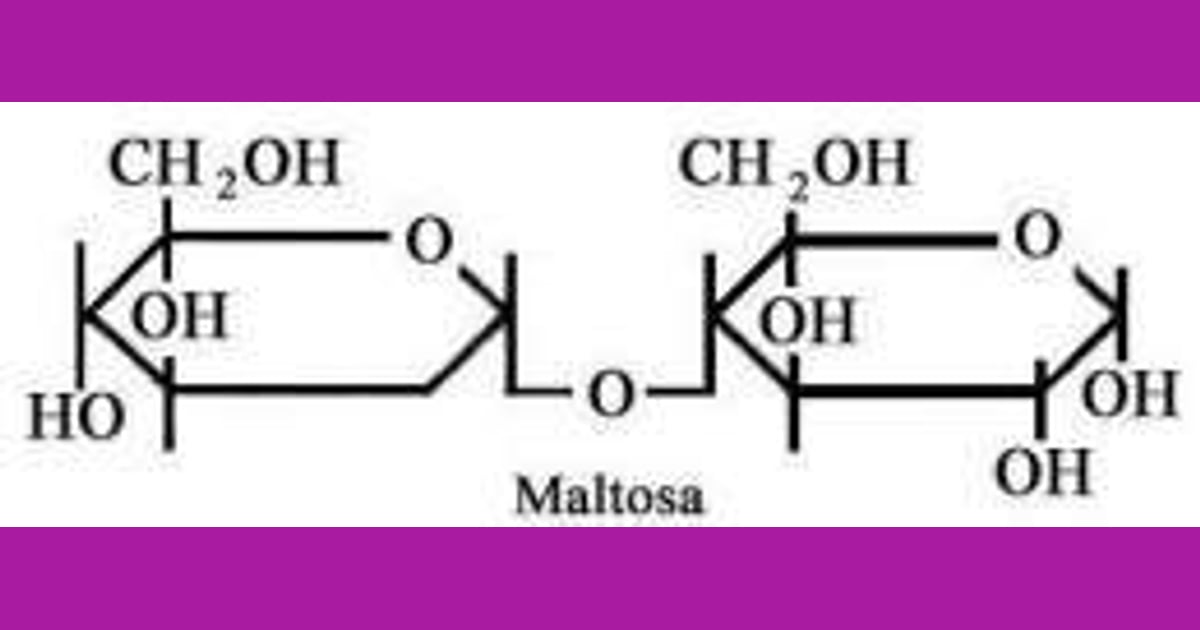 Maltosa - Maltosa - EcuRed