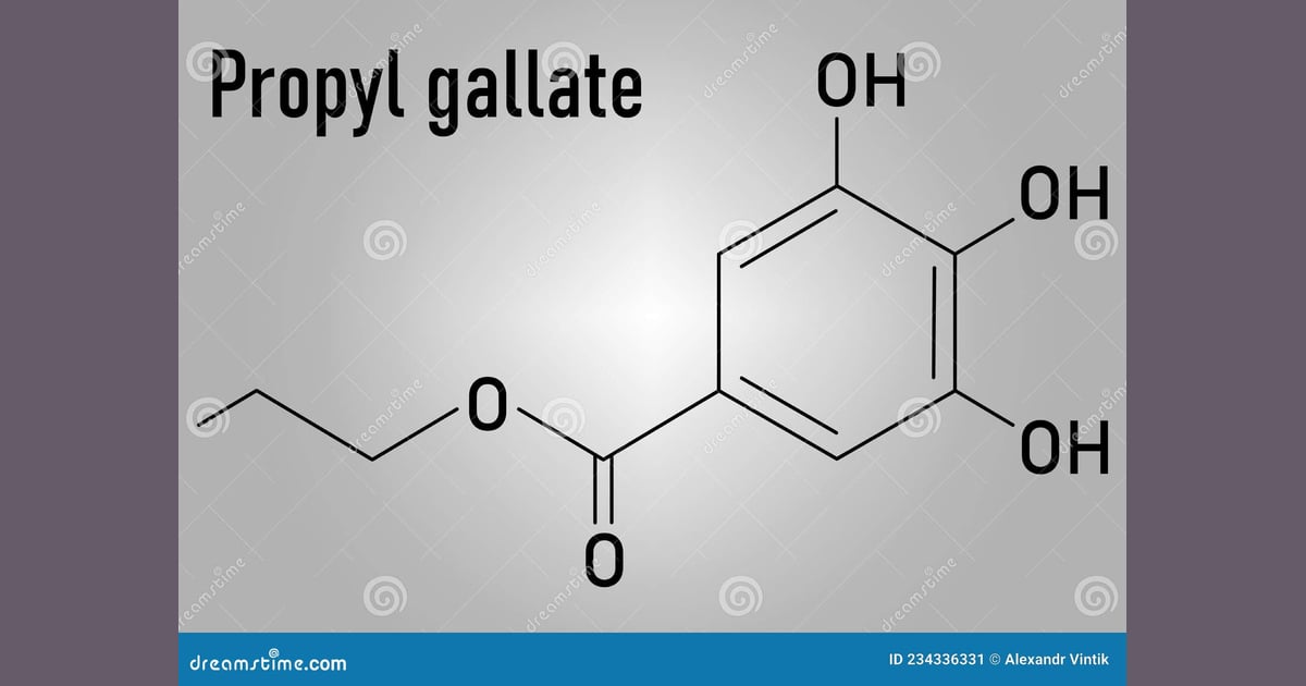Propil Galat - Propyl Gallate or