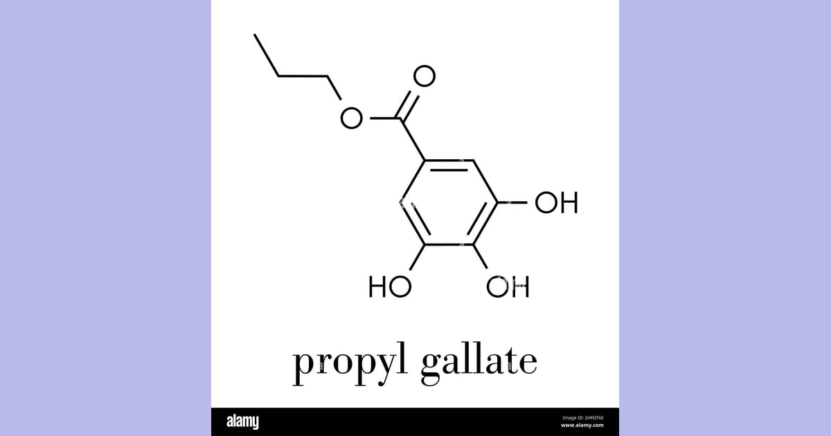 Propil Galat - E310 Stock Vector