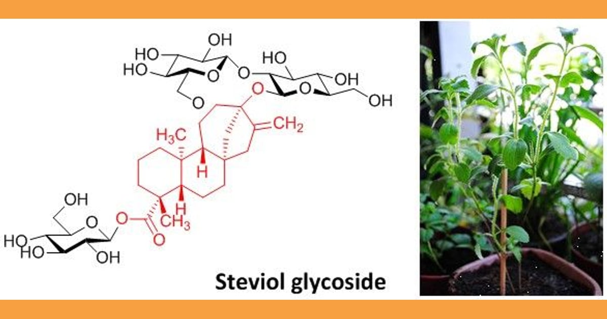 Stevil Glikosida - Steviol glycoside is