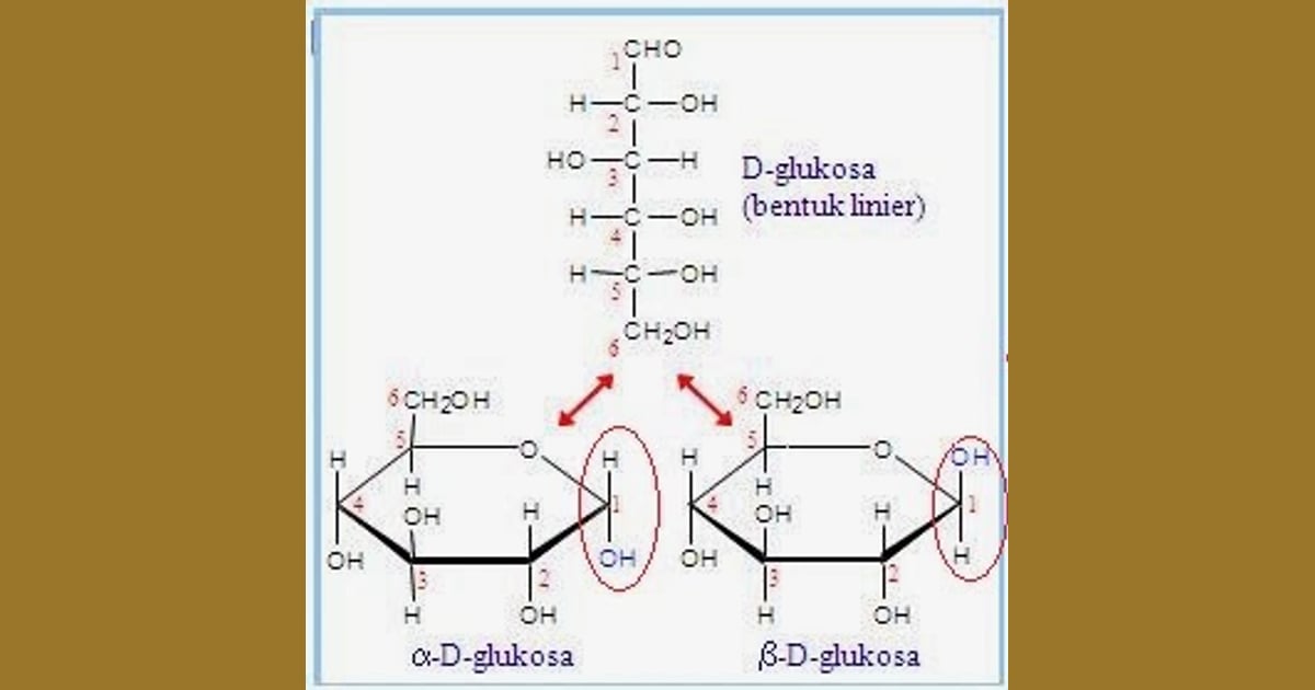 Sukrosa - Rumus Kimia Sukrosa