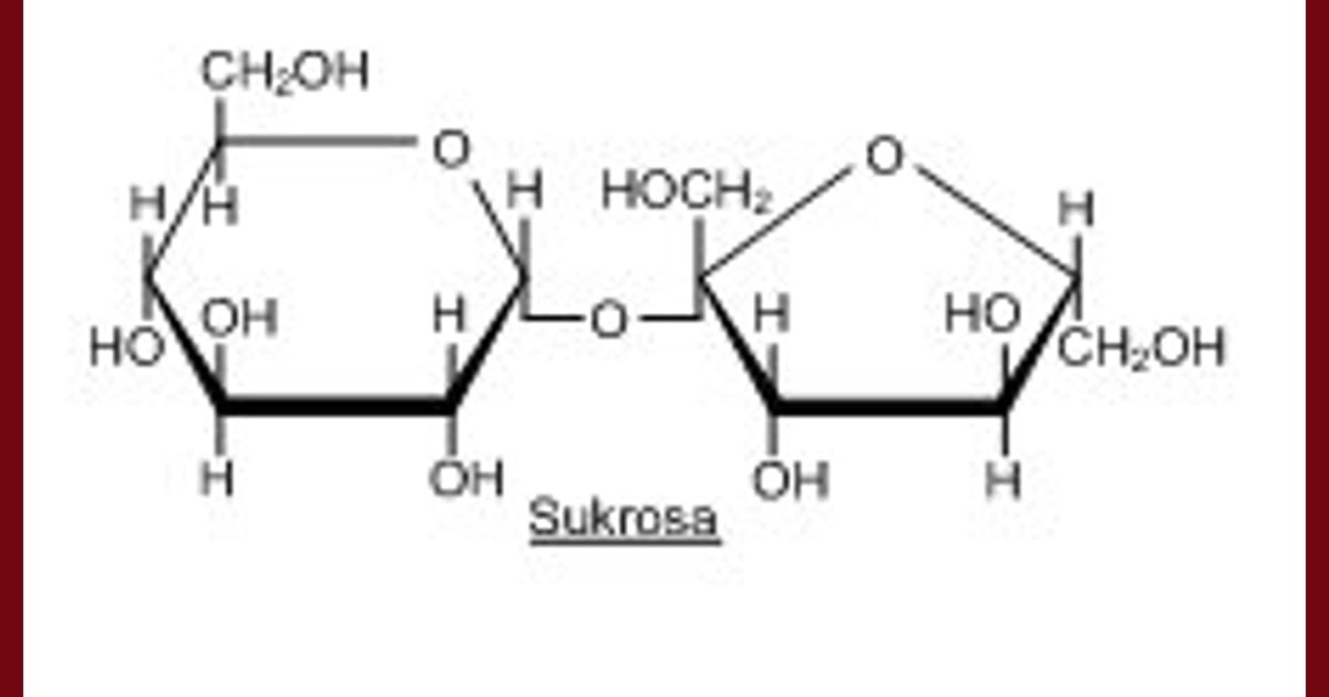 Sukrosa - Sukrosa