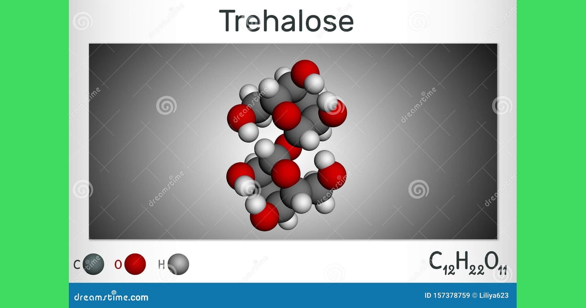 Trehalosa - Trehalosa, Molécula De