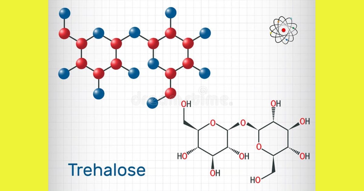 Trehalosa - Trehalosa, Molécula De
