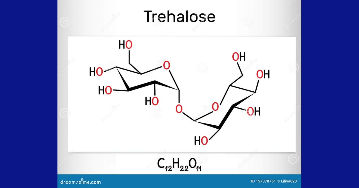 Trehalosa - Trehalose. It Is