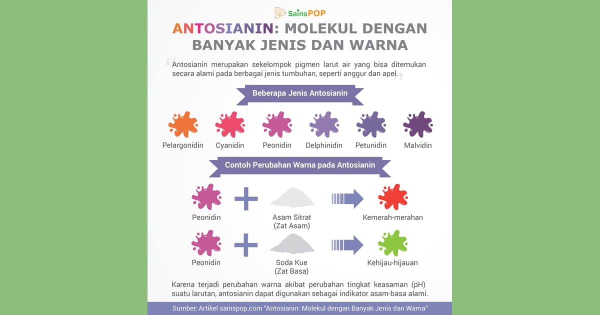 Antosianin - Antosianin, Molekul dengan