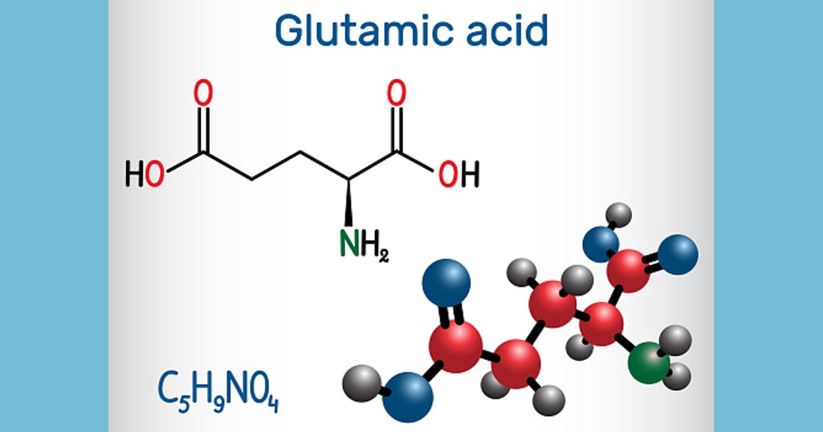 Asam glutamat - Asam Glutamat Molekul