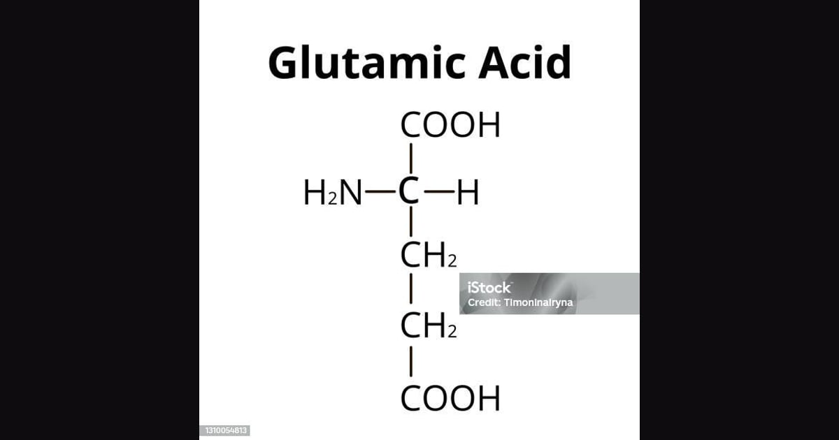 Asam glutamat - Asam Glutamat Adalah