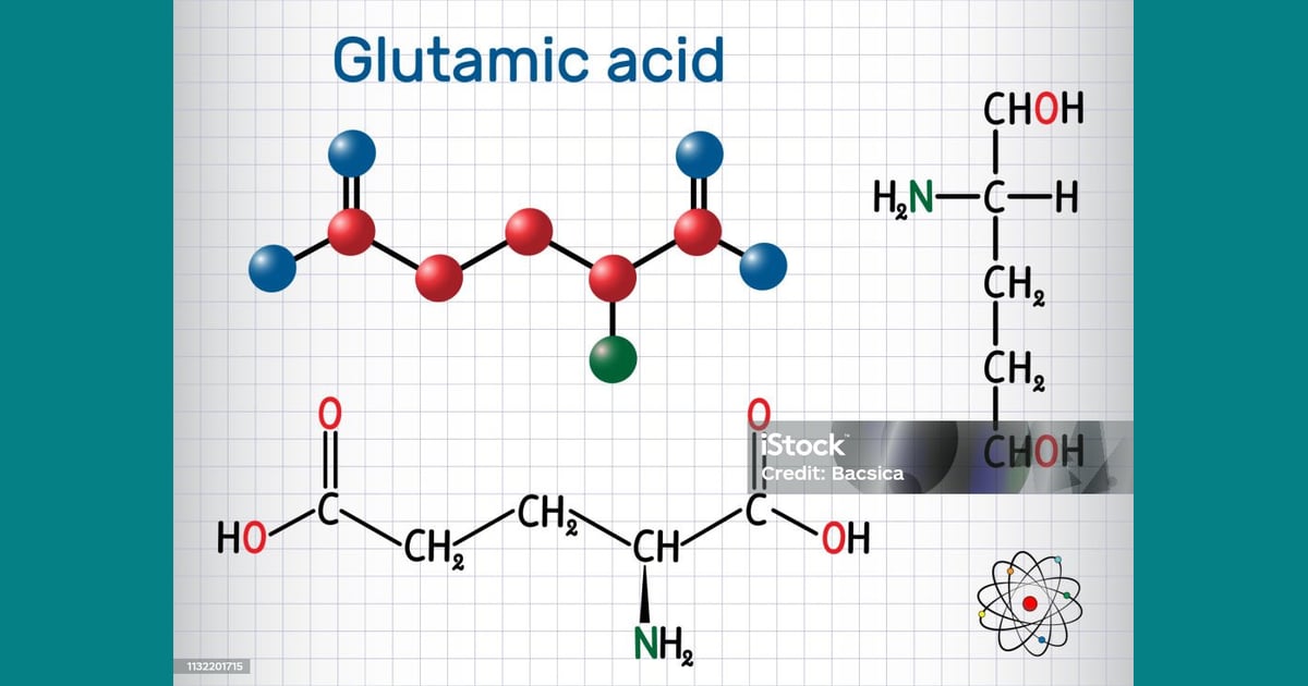 Asam glutamat - Asam Glutamat Molekul