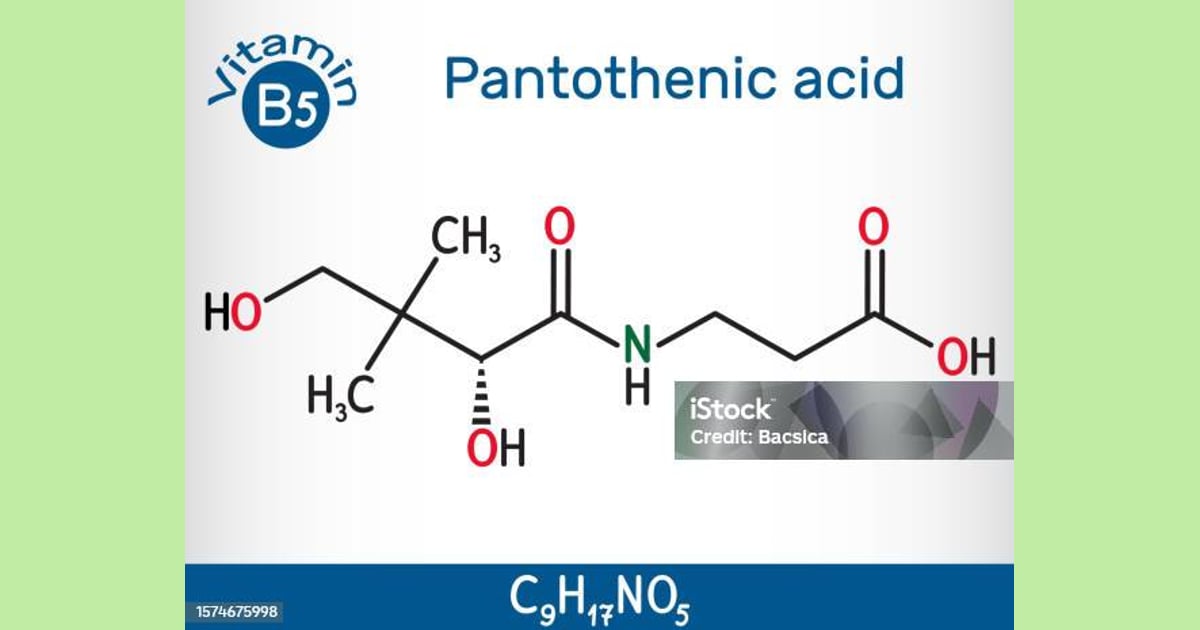 Asam pantotenat (Vitamin B5) - Asam Pantotenat Vitamin