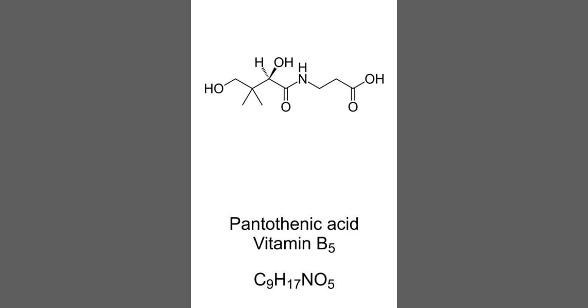 Asam pantotenat (Vitamin B5) - 700+ Asam Pantotenat