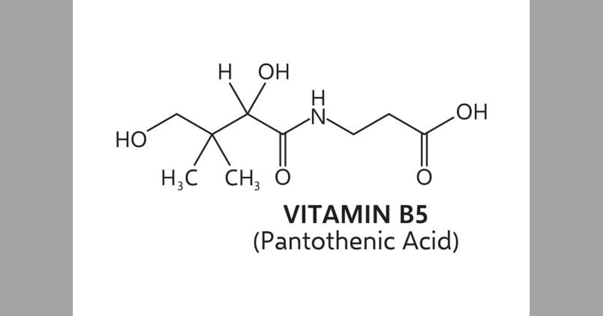 Asam pantotenat (Vitamin B5) - 340+ Asam Pantotenat