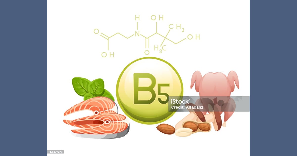 Asam pantotenat (Vitamin B5) - Vitamin B5 Kapsul
