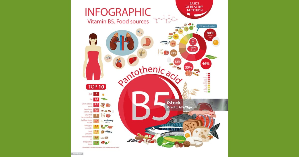 Asam pantotenat (Vitamin B5) - Vitamin B5 Ilustrasi