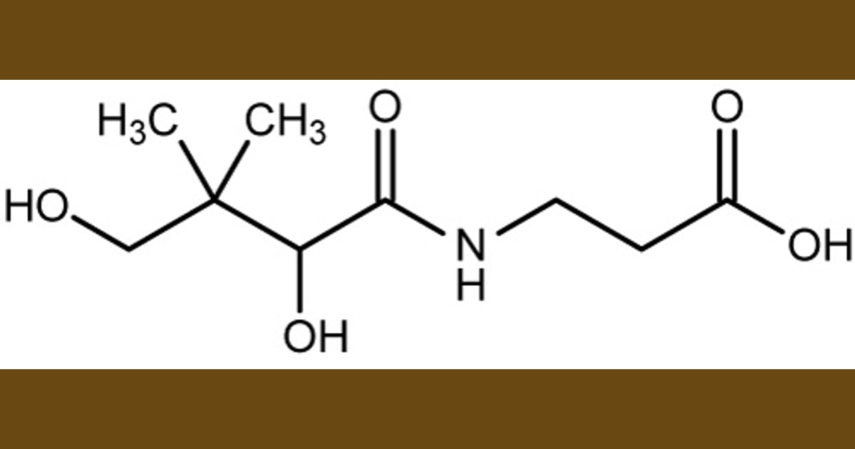 Asam pantotenat (Vitamin B5) - Asam Pantotenat -