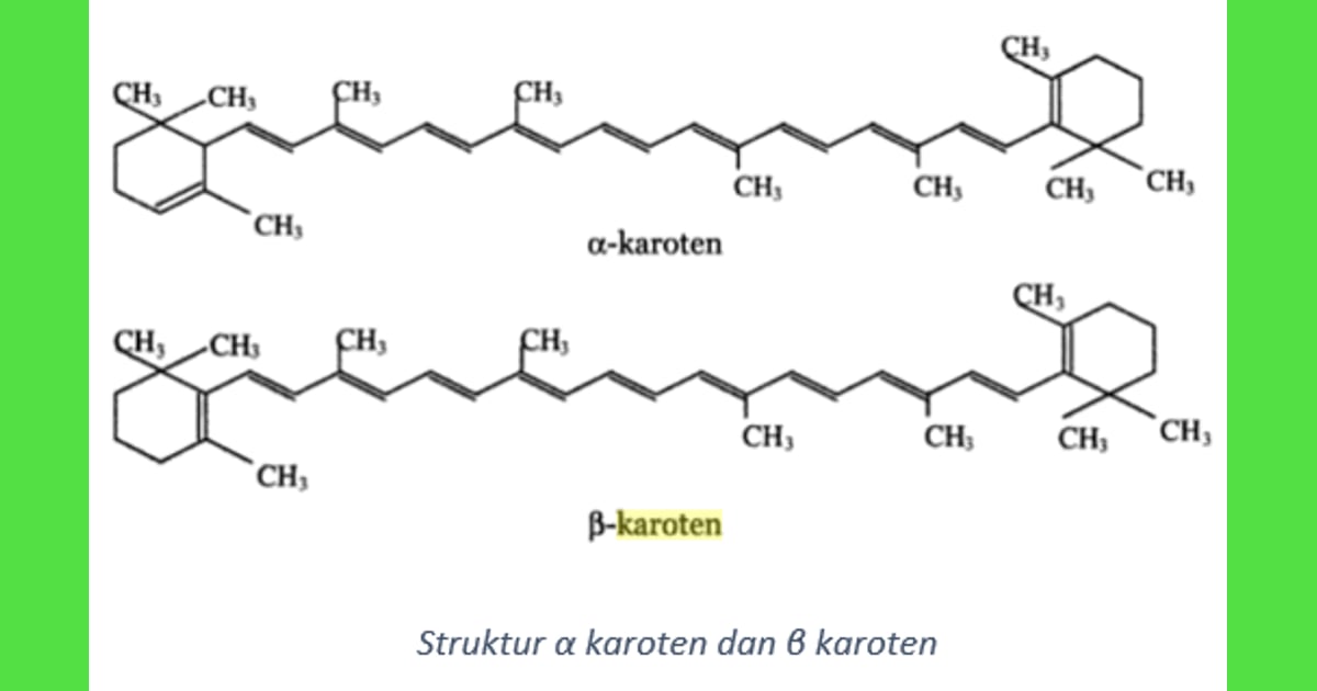 Beta-karoten - Struktur Beta Karoten