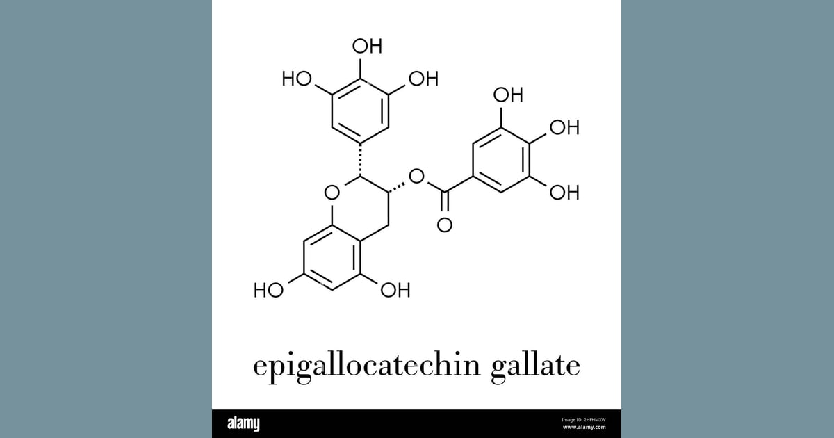 Epigalokatekin galat (EGCG) - Epigallocatechin gallate (EGCG)