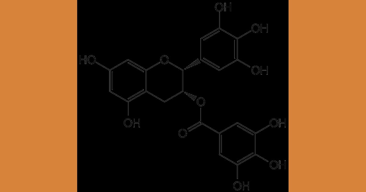 Epigalokatekin galat (EGCG) - 美国APExBIO中文官网 - (-)-Epigallocatechin