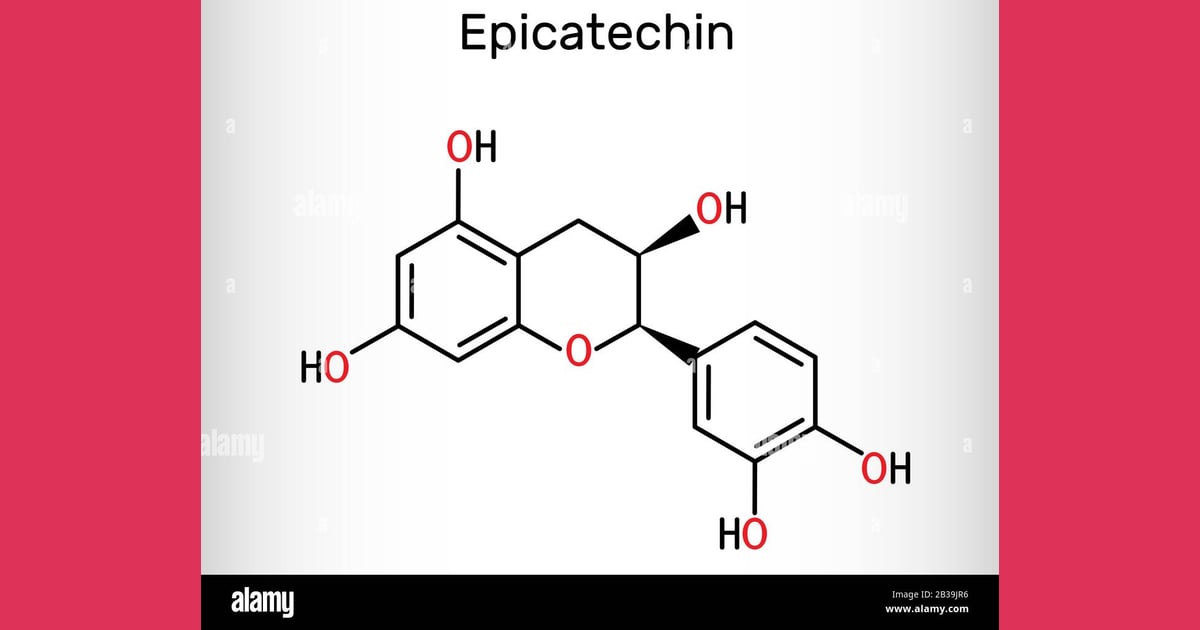 Epikatekin - Epicatechin, L-epicatechin, catechin,