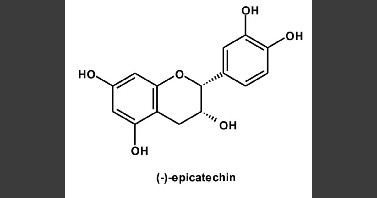 Epikatekin - Epicatechin - The