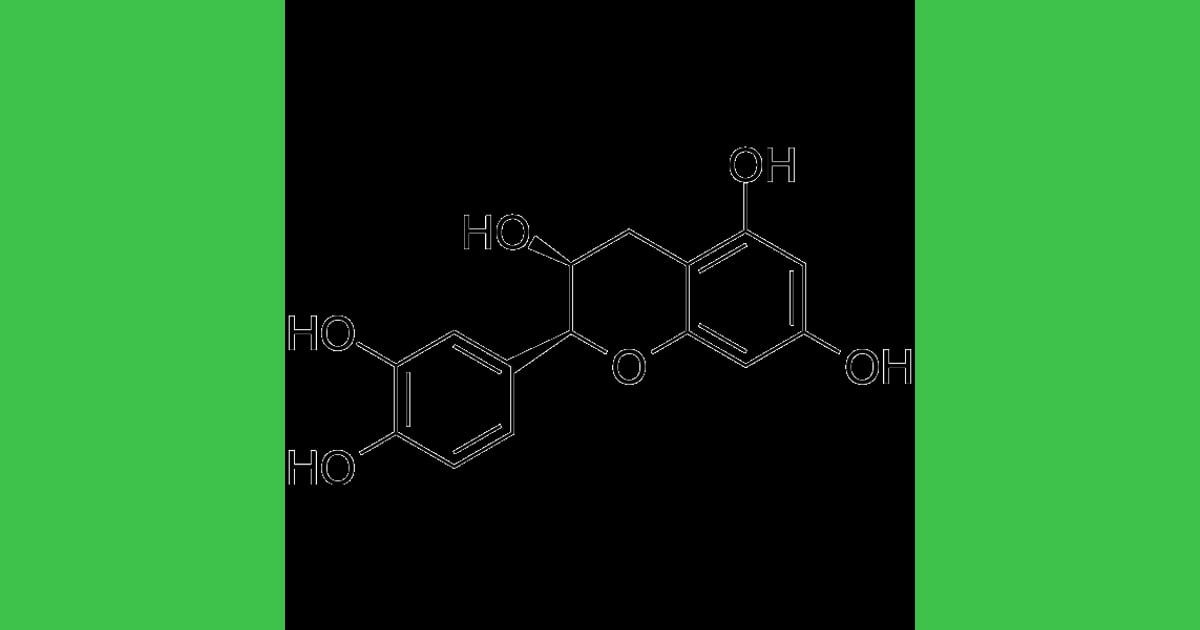 Epikatekin - Epicatechin (Dexepicatechin) |