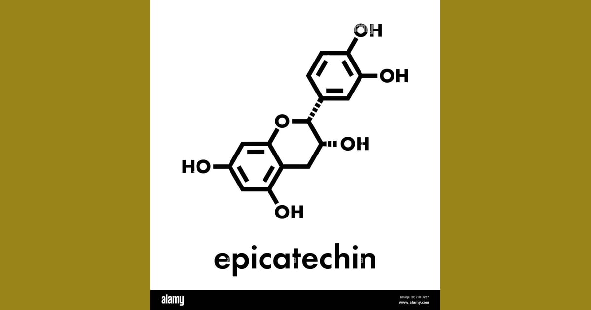 Epikatekin - Epicatechin (l-epicatechin) chocolate