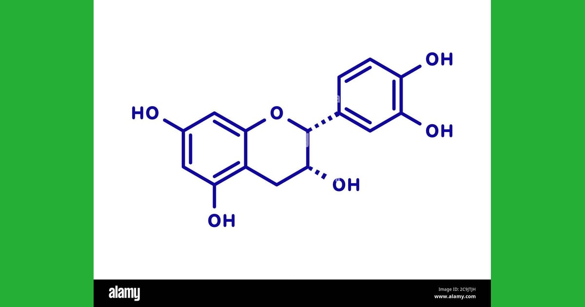 Epikatekin - Epicatechin (l-epicatechin) chocolate