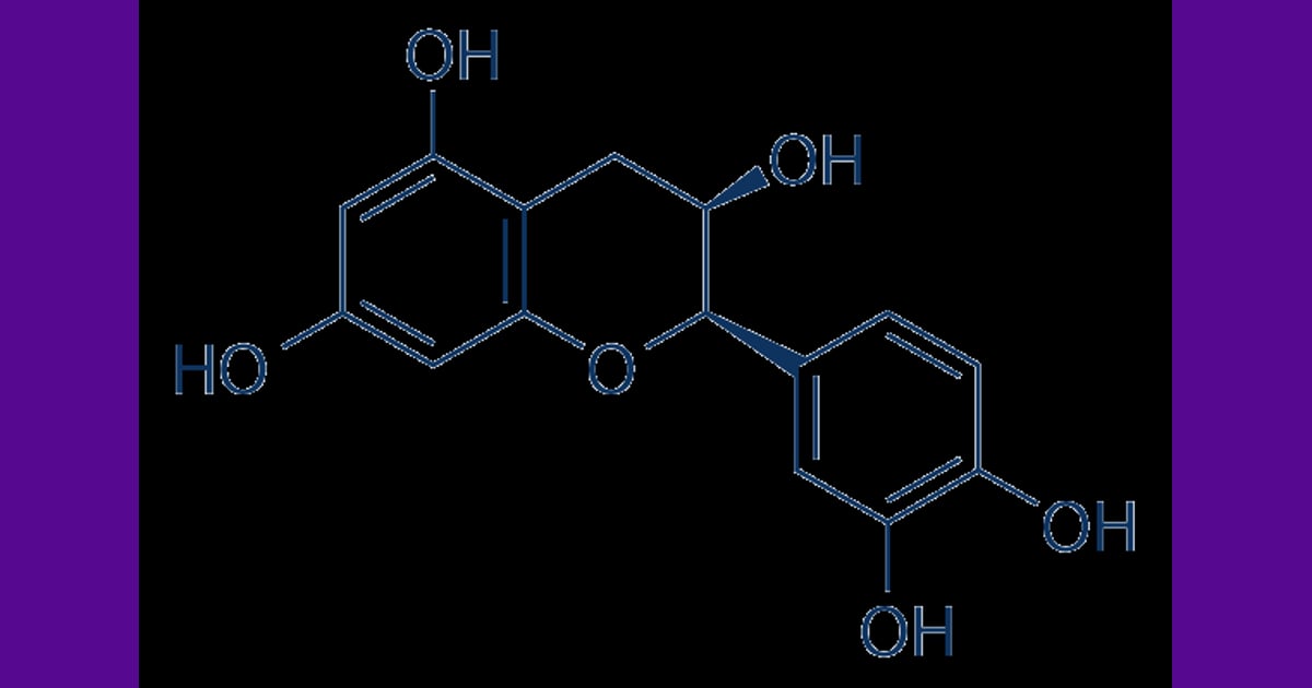 Epikatekin - (-)Epicatechin | 表儿茶精