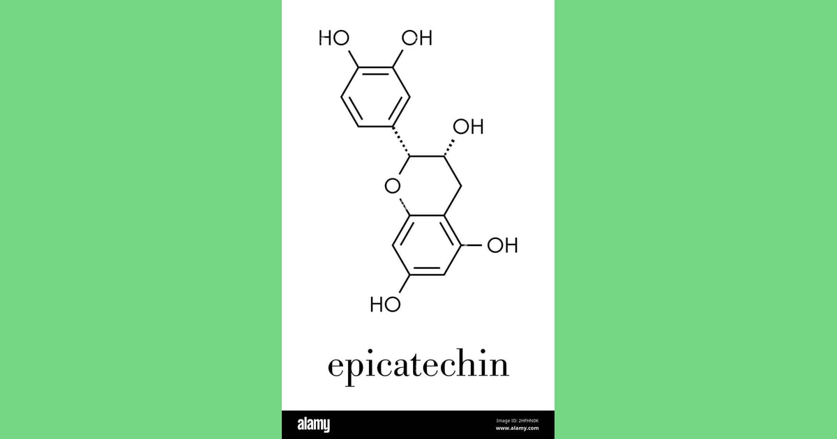 Epikatekin - Epicatechin (l-epicatechin) chocolate