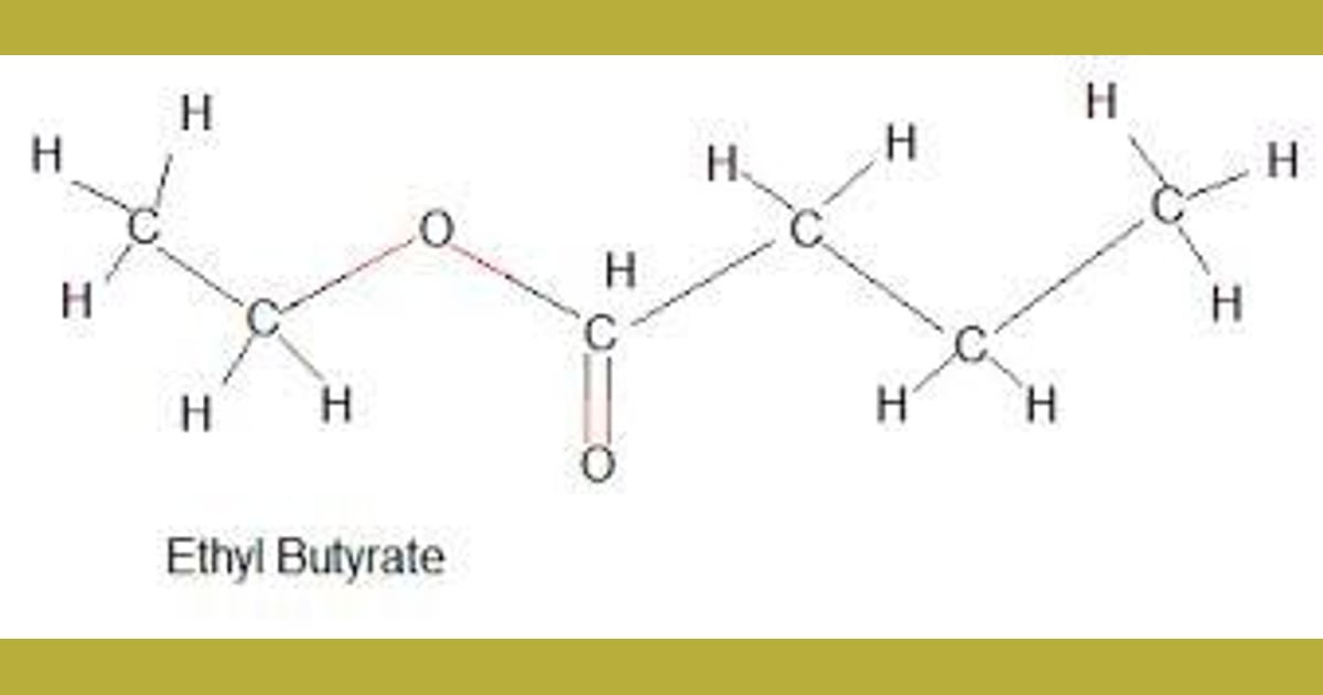 Etil butirat - Ethyl Butyrate Biosynthetic