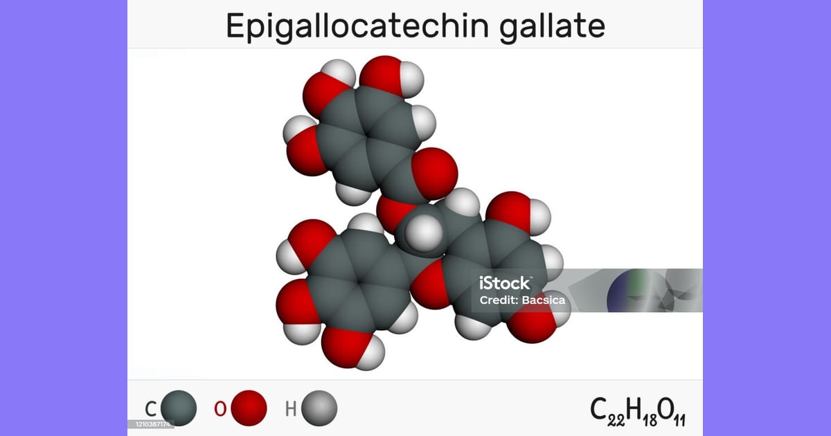Katekin - Epigallocatechin Gallate Adalah