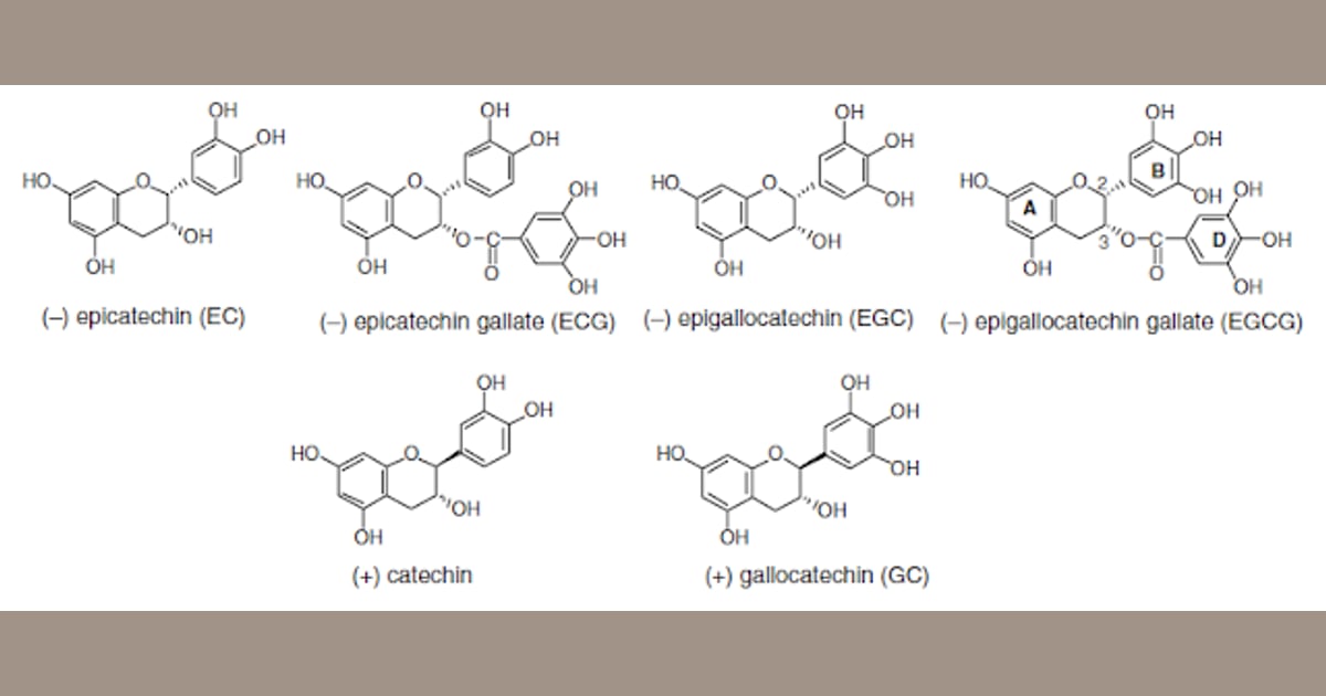 Katekin - Senyawa Metabolit Sekunder