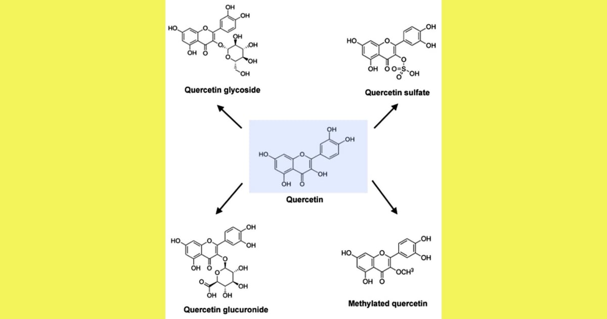 Kuersetin - Quercetin, Foods High