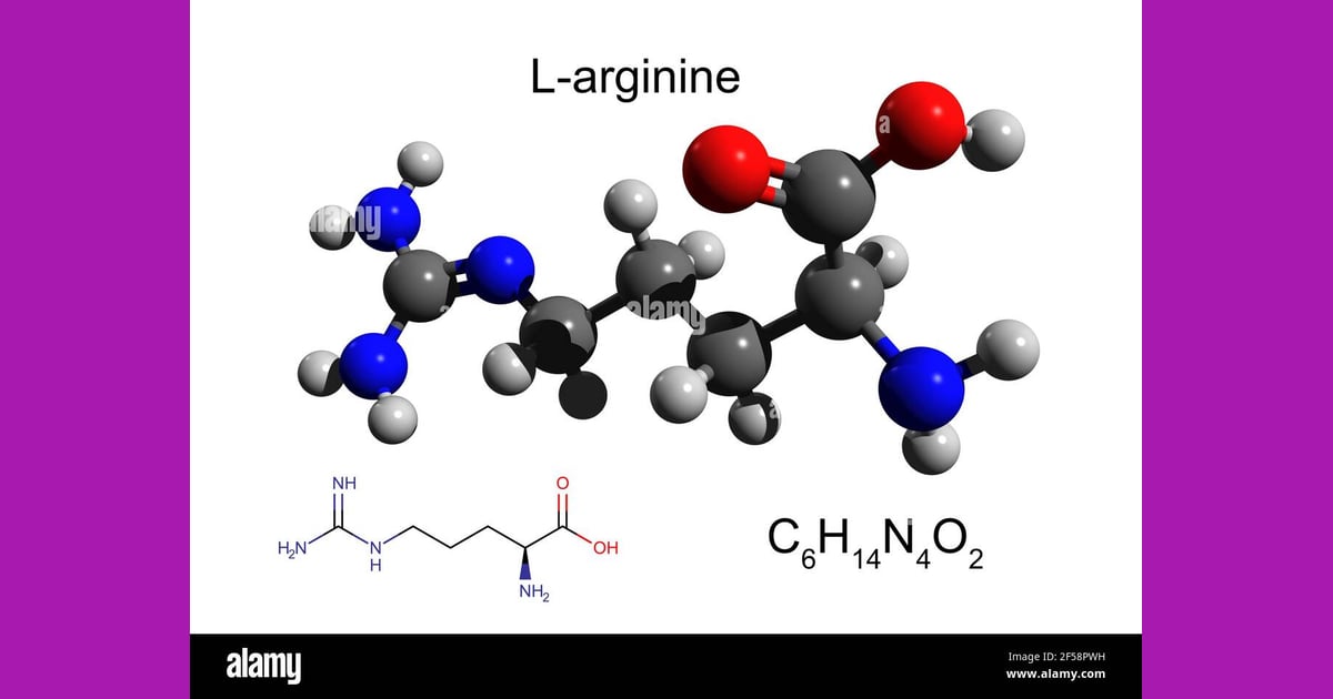 L-Arginin - Amino Acid L-Arginine