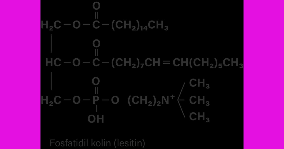 Lesitin - Lesitin merupakan fosfolipid