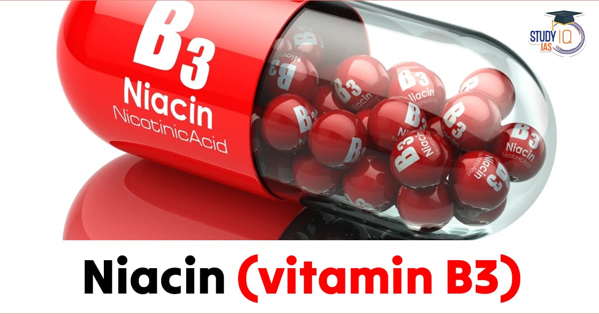 Niasin (Vitamin B3) - Niacin (Vitamin B3)