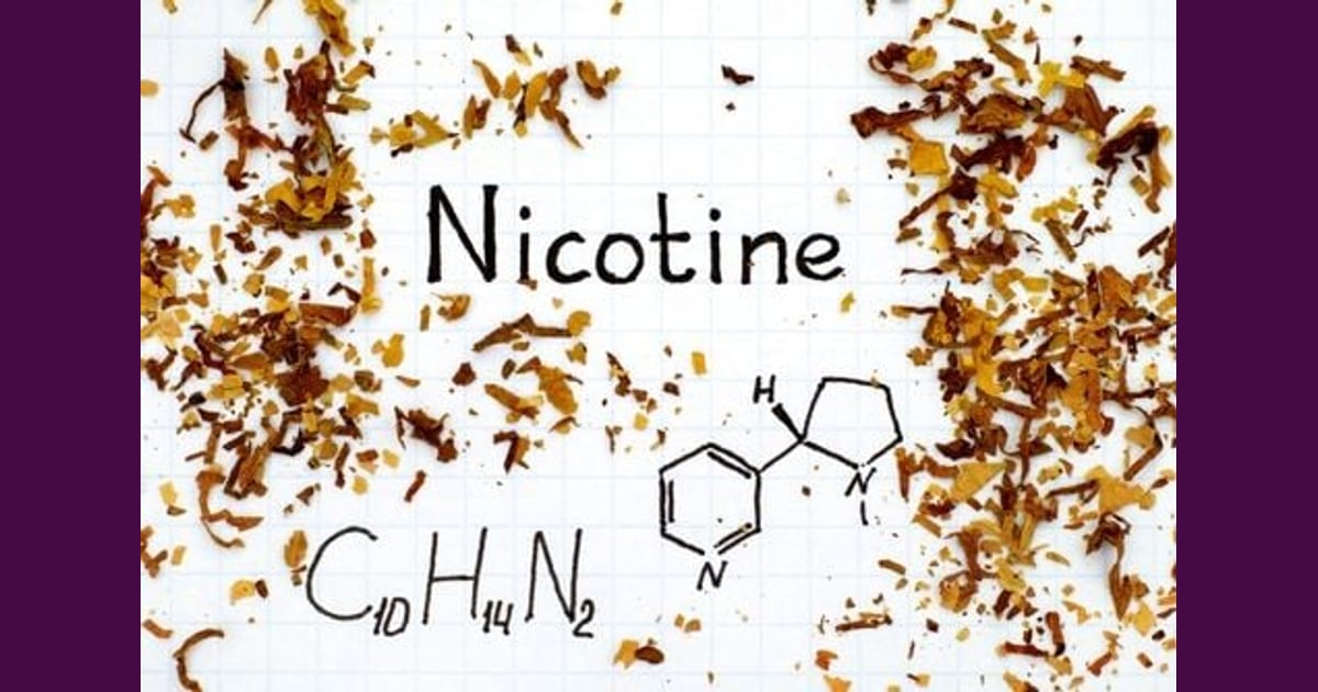 Nikotin - Terkandung Dalam Rokok,