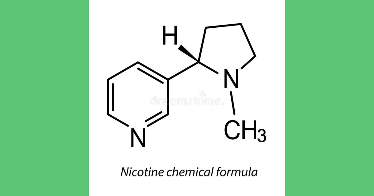 Nikotin - Nikotin molecular model