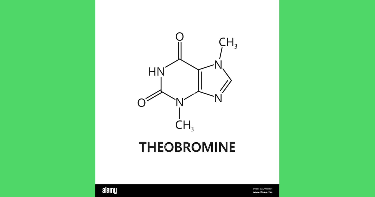 Teobromin - Theobromine, chocolate chemical