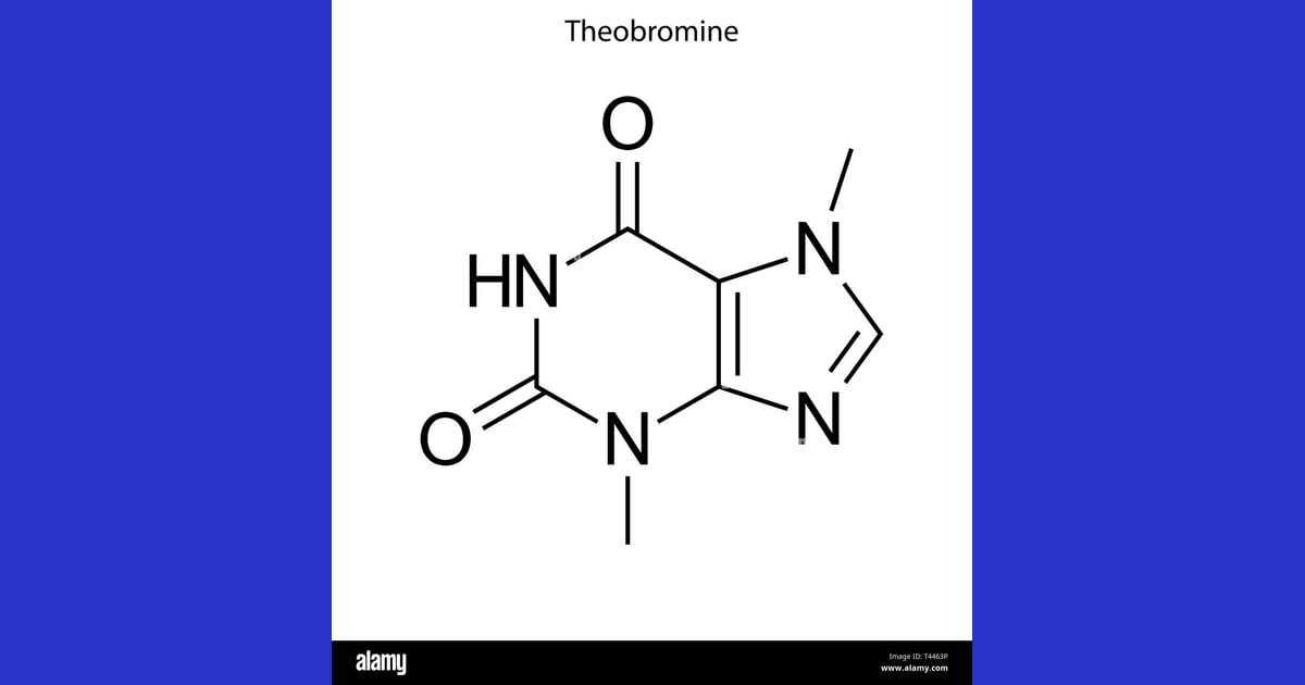 Teobromin - Skeletal formula of