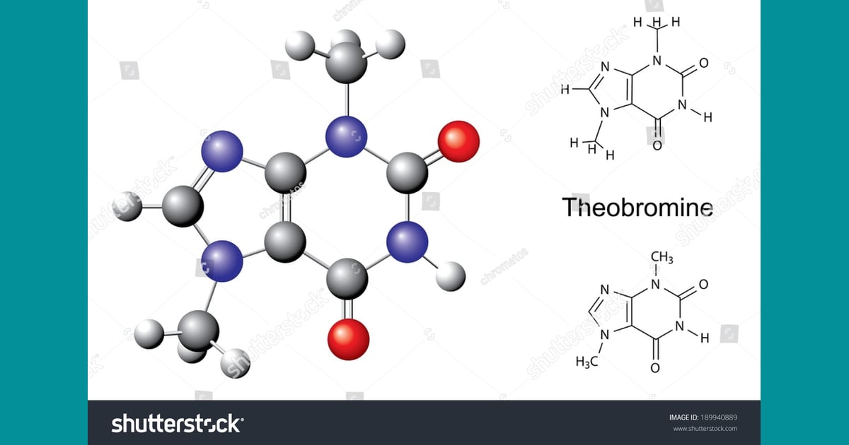 Teobromin - Structural Chemical Formula